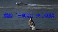 擺脫「三明治」夾心困境，給心累中階主管的三個解方